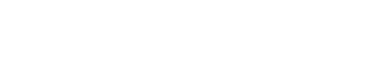 Logo DalollioTech